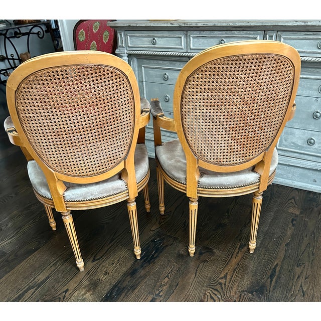 Mid 20th Century Pair Fratelli Boffi Italy ~ Louis XVI Cane Back Arm Chairs For Sale - Image 5 of 11