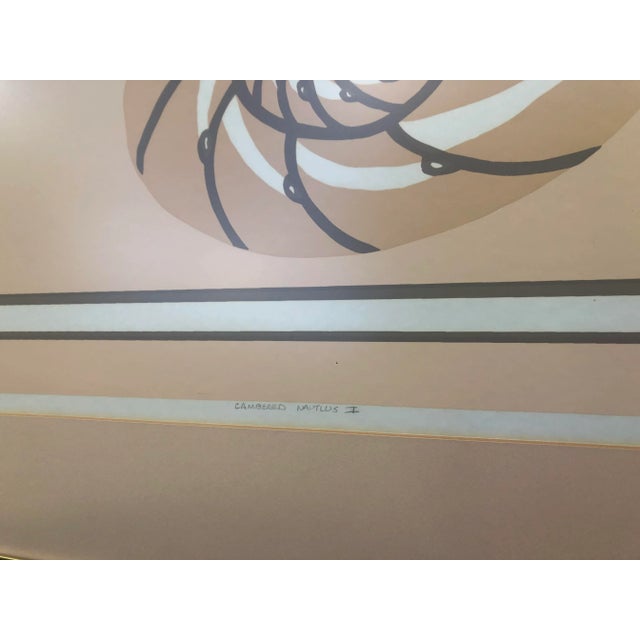 Late 20th Century Chambered Nautilus Shell Lithograph Signed by Artist For Sale - Image 5 of 8