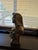 Modern 1990s Gilded Egyptian Pharaoh Bust For Sale - Image 3 of 5