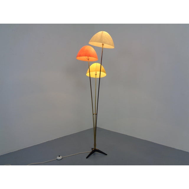 Mid-Century Modern Italian Fiberglass & Brass Floor Lamp, 1950s For Sale - Image 3 of 18