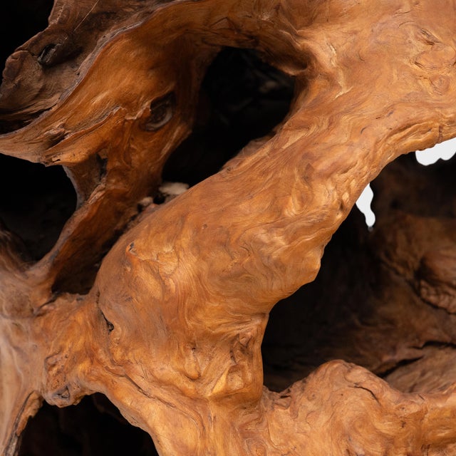 Heartwood Grotto Burl Sculpture For Sale - Image 4 of 5