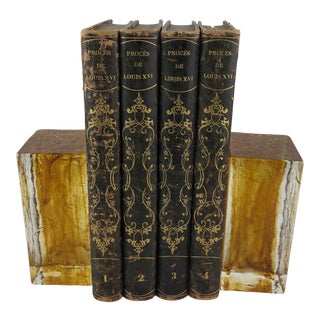 Pair of Murano Art Glass Bookends For Sale