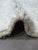Small Solid Moroccan Rug - 5.2 X 3.1 Ft For Sale In Cleveland - Image 6 of 6