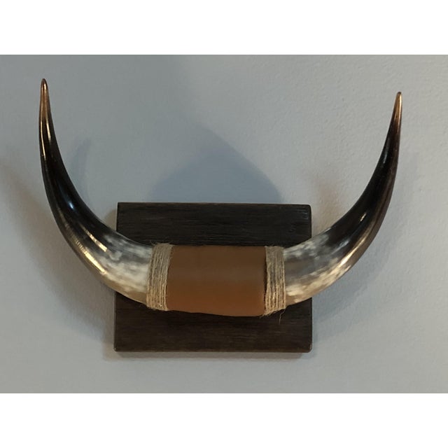 Vintage Polished Bull Horns Chairish