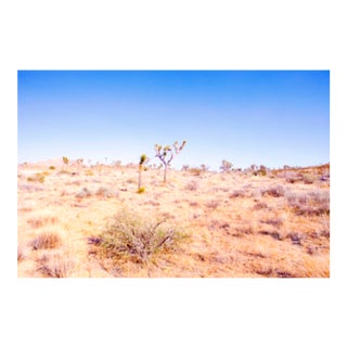 Cheryl Maeder, Desert Plains Photograph, Archival Photographic Watercolor Print For Sale