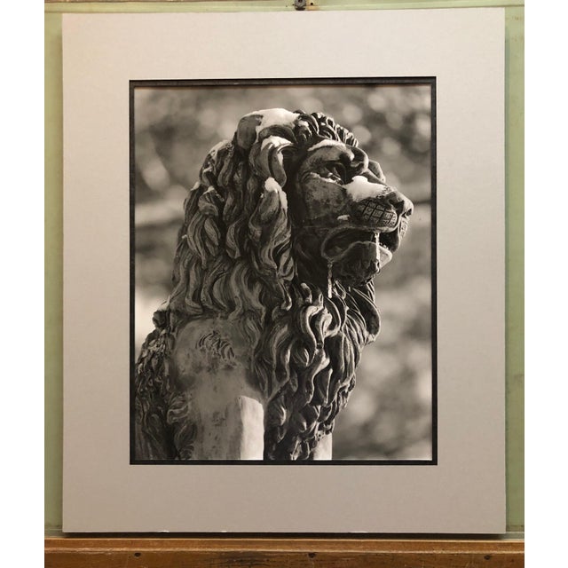 Street Art Theodore CohenStone Lion Sculpture Photograph, Jerusalem Vintage Silver Gelatin Photo Print, c.1960's For Sale - Image 3 of 3