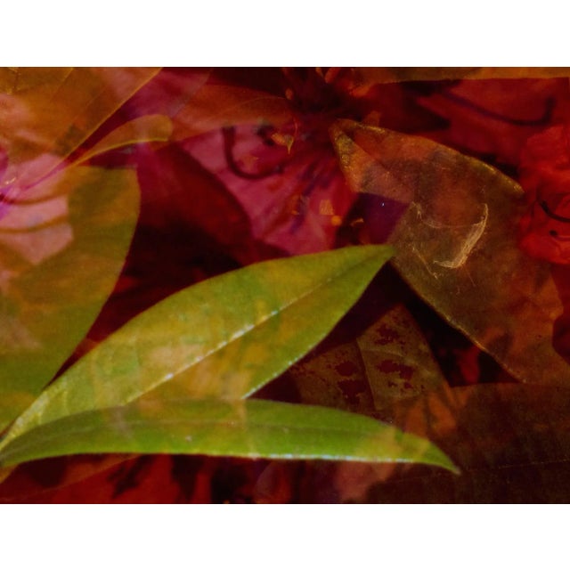 This large 40" x 30" abstract photographic print is by designer/artist/photographer Joseph Fountain, created in 2015. From...