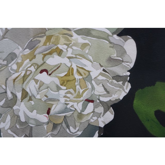White Deborah Rubin "Peonies" Floral Botanical Still Life Watercolor Painting 50" For Sale - Image 8 of 10