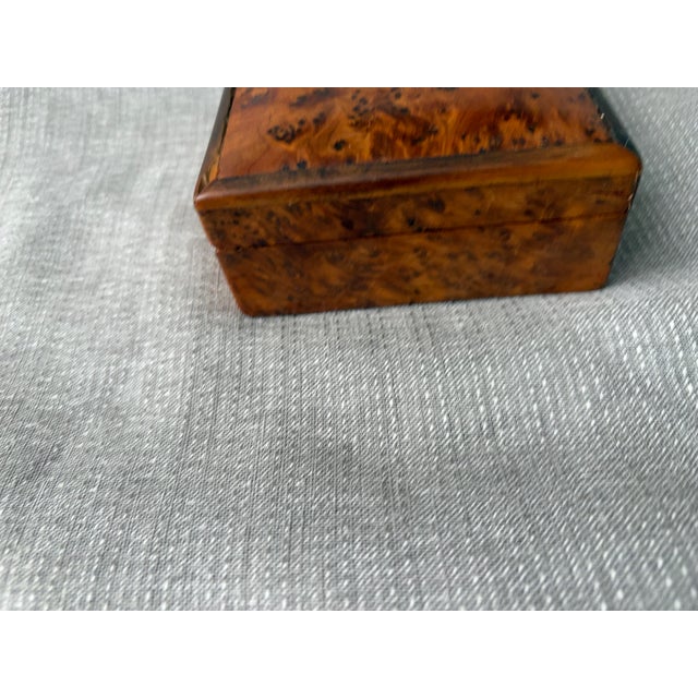 Small Antique Burl Hinged Box For Sale - Image 16 of 16