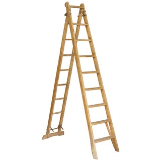 Decorator's Ladder from The Patient Safety Ladder Company For Sale