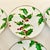 Forest Green 2001 Americana Hollywood Regency Restoration Hardware Holly Berry Salad Plates - Set of 6, Christmas For Sale - Image 8 of 15