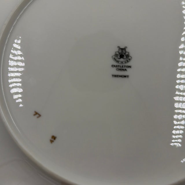 Mid 20th Century 10 Castleton China "Tremont" Pattern Dinner Plates Light Aqua Turquoise For Sale In Boise - Image 6 of 8