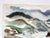 Mid 20th Century Modernist California Coastal Seascape Beach Watercolor Painting For Sale - Image 4 of 6