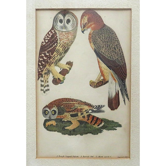 FREE SHIPPING ANYWHERE IN THE CONTINENTAL US! This is a set of 3 hand-colored engravings from taken from the book, Drawn...