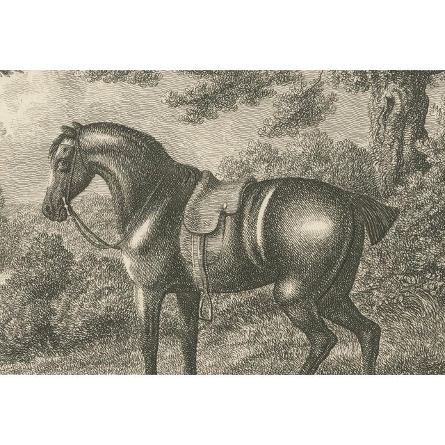 Samuel Howitt, Shooting Pony, 1799, Engraving For Sale - Image 9 of 10