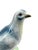 Mid-Century Ceramic Pigeon Figurine from Cortendorf, West Germany, 1950s-1960s For Sale - Image 12 of 16