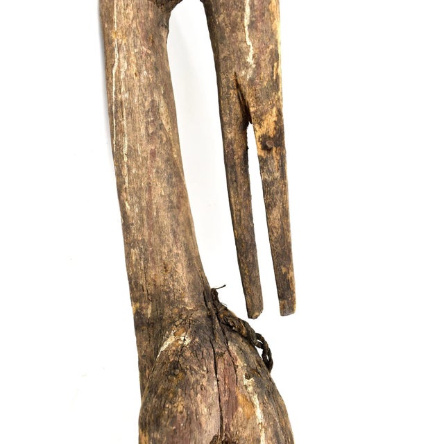 African Early 20th Century Senufo Gurunsi Bird Figure 48 Inch Côte d'Ivoire For Sale - Image 3 of 6