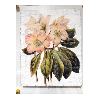 Pink and Cream Flowers - Hand Textured Pink Flowers For Sale