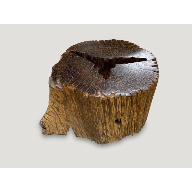 Andrianna Shamaris Iron Wood Side Table For Sale - Image 4 of 5