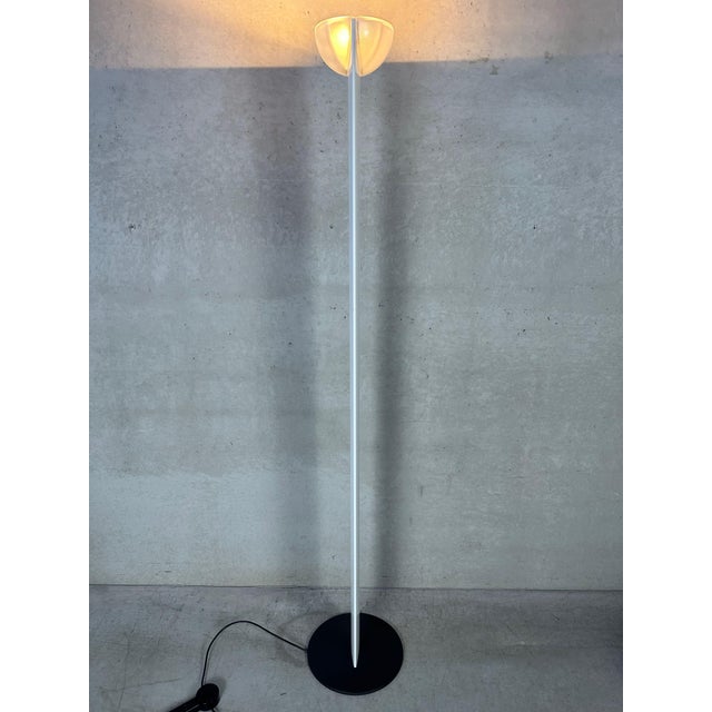 Adonis Floor Lamp by Gianfranco Frattini for Luci Italia, 1980s For Sale - Image 3 of 12