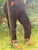 Heinrich Pforr, Garden Portrait, Oil Painting on Canvas For Sale - Image 6 of 13