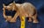 Wood Vintage Mid-Century Kenyan Hand-Carved Hardwood Elephant Mother & Baby Figurine For Sale - Image 7 of 7