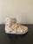 A gorgeous Grand Tour style cast plaster sculpture of an Ancient Greek or Roman foot USA, Late 20th Century Measures: 10"W...