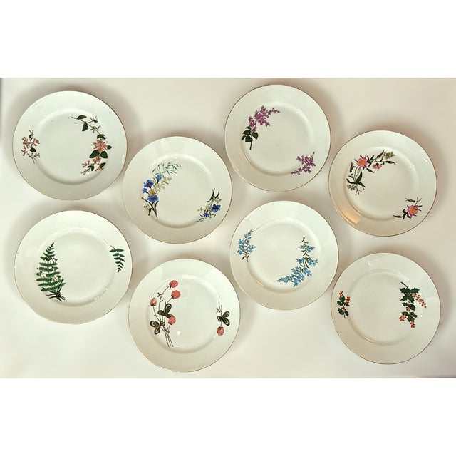 Antique Limoges Cabinet Plate Collection, 1880 - 1882, Set of 8 For Sale - Image 16 of 16