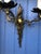 Gold Vintage Rococo French Gilt Bronze Wall Sconces, 1950s, Set of 2 For Sale - Image 8 of 11