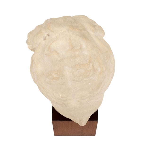 1940s Art Deco Period, French Bust of Hygieia, Wood and Plaster, Circa 1940 For Sale - Image 5 of 9