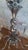 Silver Tulip-Shaped Chandelier in Chrome Metal and Thick Glass, 1930s For Sale - Image 8 of 17