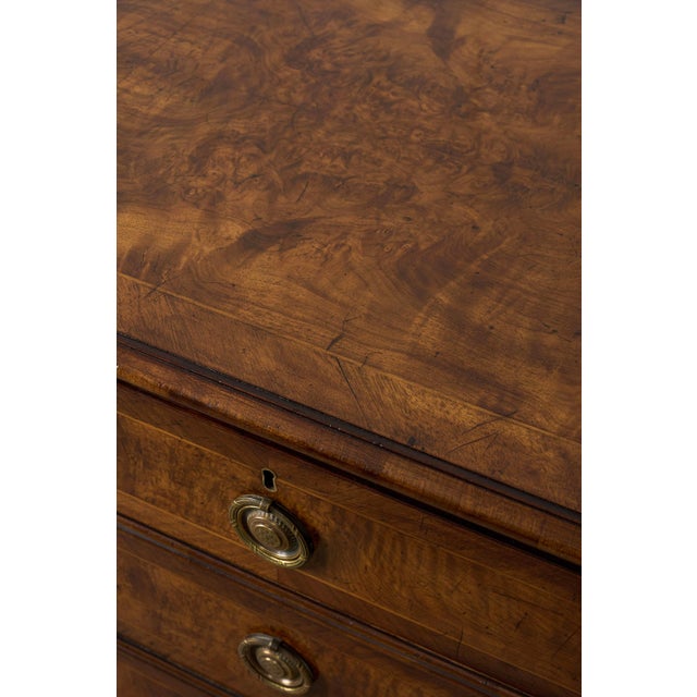 19th Century Exquisite 19th Century Burl Walnut Two Over Three Chest With Rings Pulls For Sale - Image 5 of 10