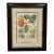 Trowbridge Framed Tropical Botanical Fruit Print – Pineapple & Cherimoya For Sale