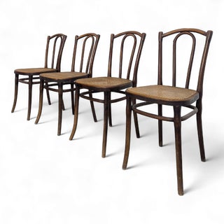 Dining Chairs from Thonet, Set of 4 For Sale