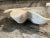 1950’s Decorative Ceramic Clam Shell Bowl For Sale - Image 4 of 8