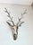 Large Modernist Cast Polished Metal Deer Antler Head Wall Sculpture For Sale - Image 15 of 15