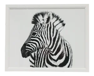 Black and White Zebra Animal Photo With White Frame, England