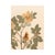 1930s Vintage Swedish Herbarium - Cinnamon Rose, Circa 1933 For Sale - Image 5 of 6