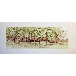 1980s European Forest Landscape Etching Numbered 180/400 For Sale