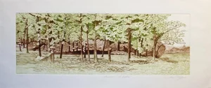 1980s European Forest Landscape Etching Numbered 180/400