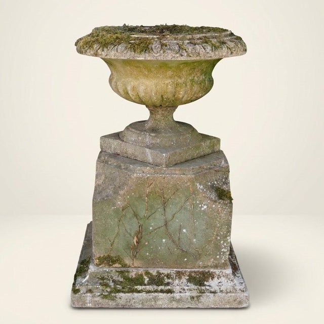 English Garden Basin on Patinated Stone Pedestal, 1920s For Sale - Image 16 of 16