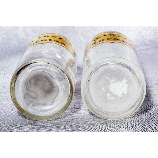 Pair 19th Century Large Antique Hand Painted Apothecary Pharmacy Display Bottles For Sale - Image 18 of 18
