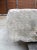 A Wide 18th Century Carved Limestone Trough From the South of France For Sale - Image 4 of 18