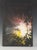 “Explosion #20” is an original experimental process painting by San Francisco counterculture artist Paul Olsen, created...