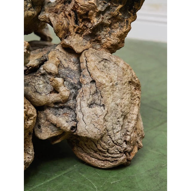 Petrified 1960s Brown Wood Coffee Table Glass Top For Sale - Image 9 of 11