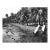 1972 Don Ware Kauai Hawaii Photograph For Sale