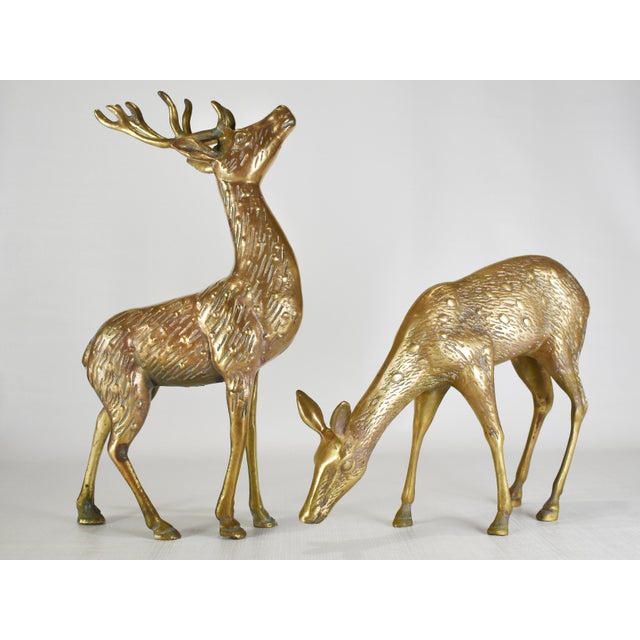 Solid Brass Buck & Doe Deer Animal Figurines a Pair Chairish