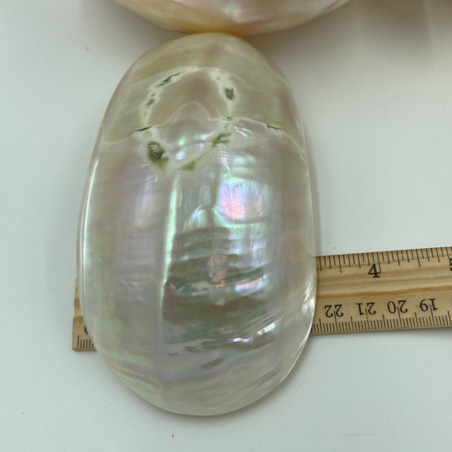 Late 20th Century Caviar Mother of Pearl Bowls - 12 pcs For Sale - Image 10 of 12