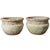 Early 20th Century Pair of English Willowstone Garden Pots For Sale - Image 12 of 12