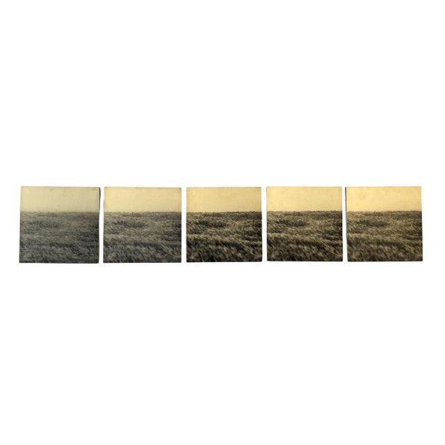 Modern Gerry Hunt, Viewpoint Dima's Head & Seagrass, Photographs Mounted on Wood Panels, 1977, Set of 5 For Sale - Image 3 of 11